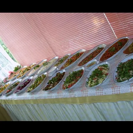 Hotel Saadet Didim